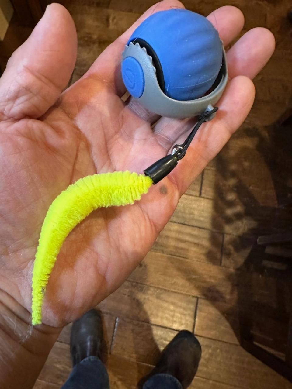 Smart Rolling Ball – The Ultimate Fun for Dogs & Cats 🐾